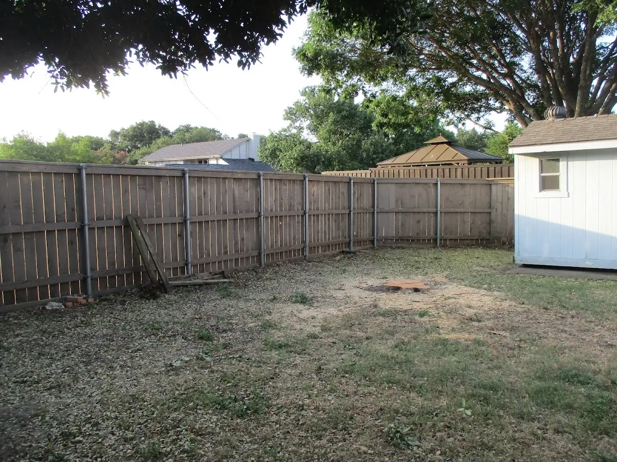 Cleared yard after professional tree removal in Center Conway